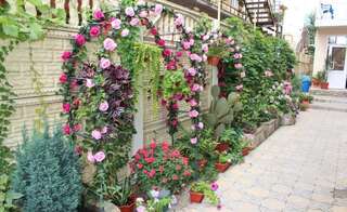 Гостиница Diamant Лазаревское-6